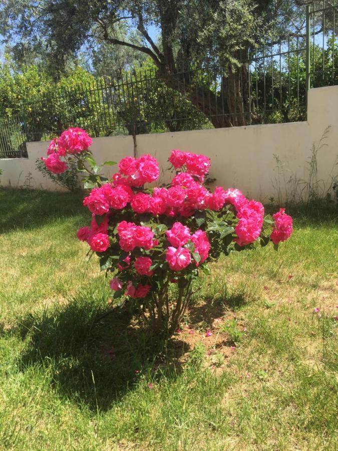 Lovely Apartment Next To The Sea Lygia Korinthias Ligia  Екстер'єр фото